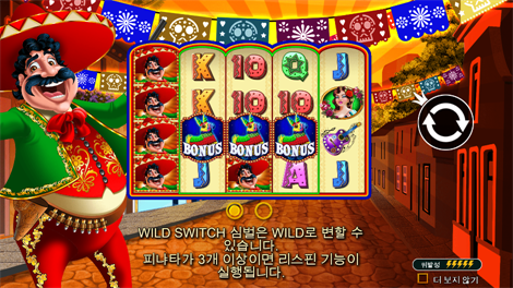 와일드 픽시스