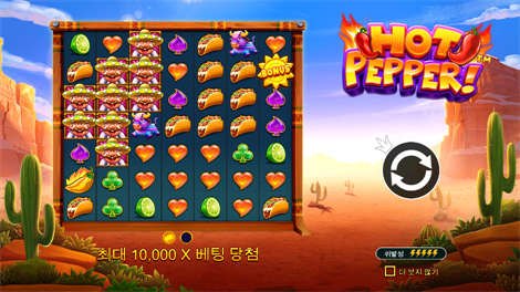 하키 리그 와일드 매치