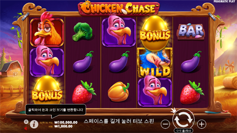 와일드 부스터