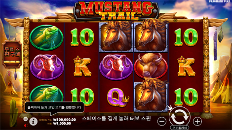 그레이스 오브 에비스